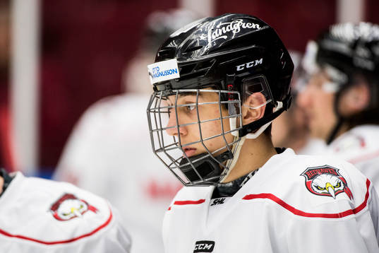 Malmö Redhawks Martin Fehevary