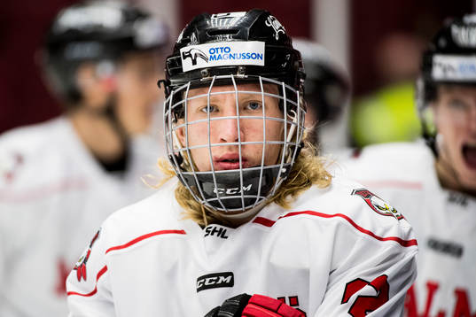 Malmö Redhawks Marcus Sylvegård