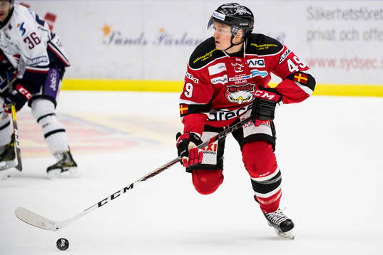 Malmö Redhawks Rhett Rakhshani