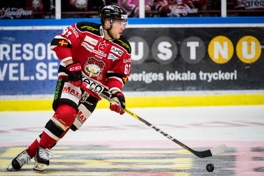 Malmö Redhawks Konstantin Komarek