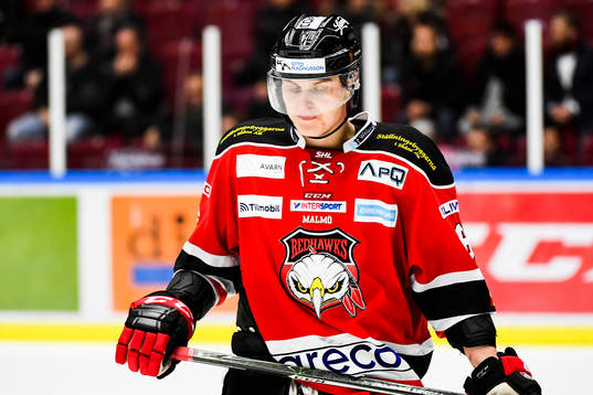 Malmö Redhawks Fredrik Händemark deppar