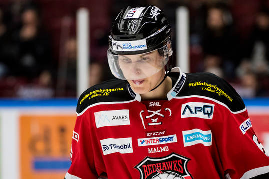 Malmö Redhawks Fredrik Händemark deppar