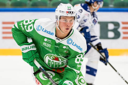 Rögles David Åslin