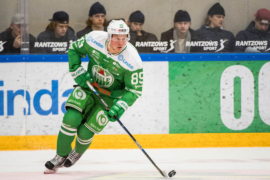 Rögles David Åslin