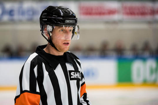 Domare Mikael Holm