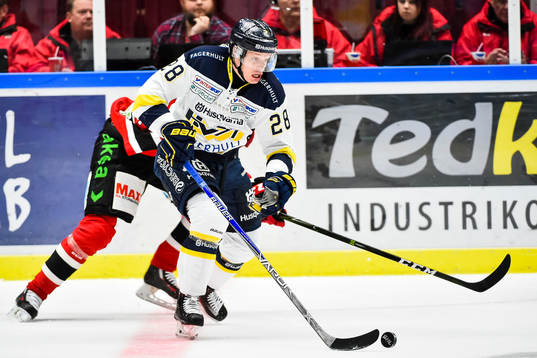 s Anton Bengtsson och Malmö Redhawks Lukas Haudum