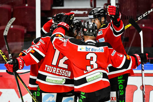 Malmö Redhawks spelare jublar