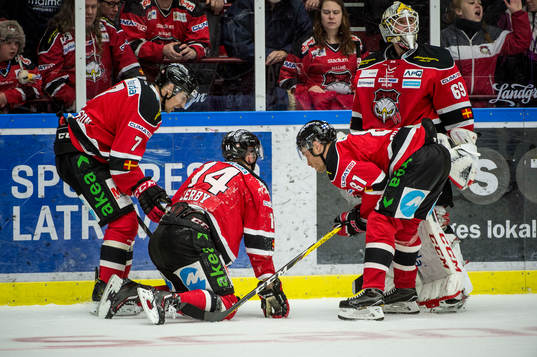 Malmö Redhawks Carl-Johan Lerby i mitten med lagkamraterna