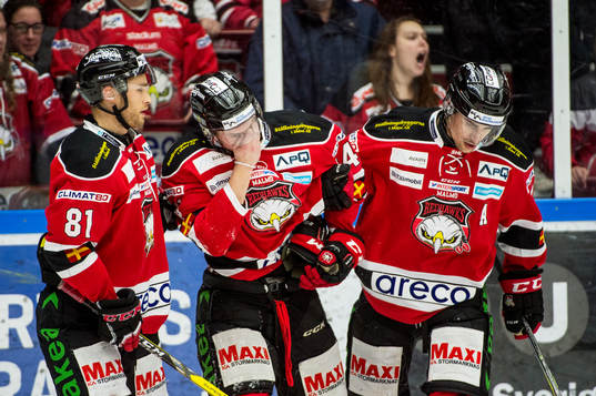 Malmö Redhawks Carl-Johan Lerby tas om hand av Ilari