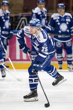 Leksands Christian Mieritz