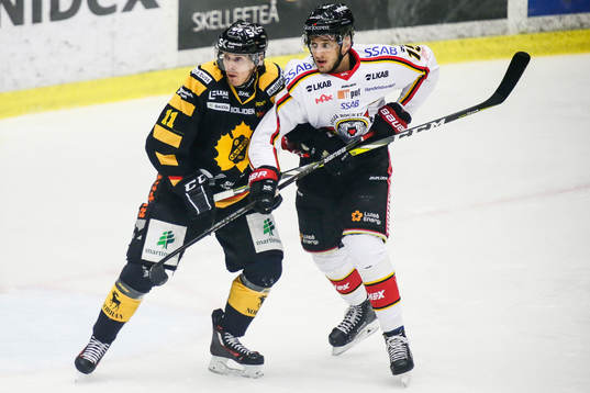 Skellefteås Henrik Hetta