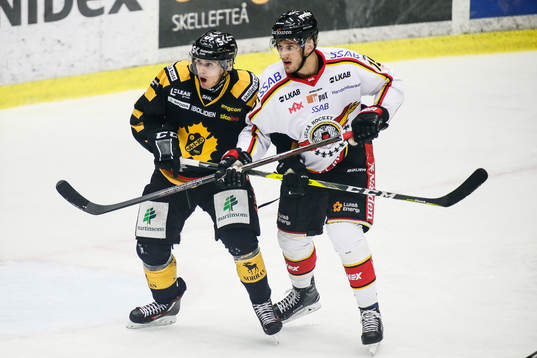 Skellefteås Henrik Hetta