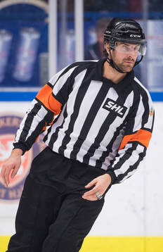 Domare Mikael Sjöqvist