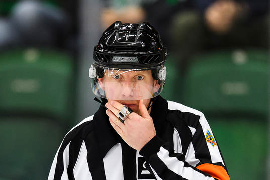 Domare Mikael Holm