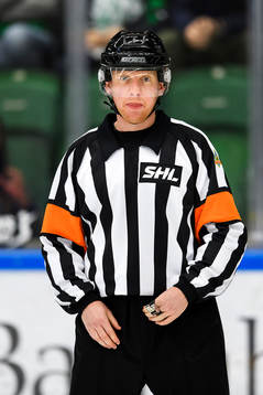 Domare Mikael Holm