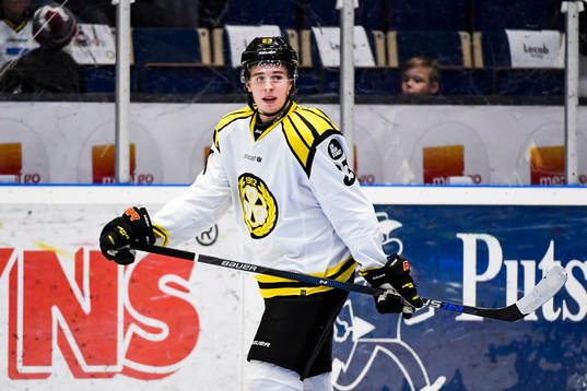 Brynäs Lucas Carlsson deppar