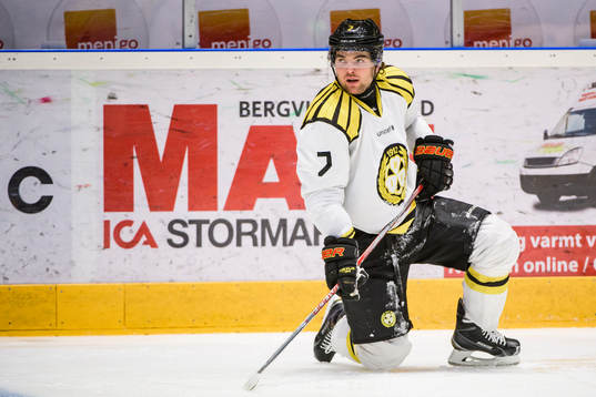 Brynäs Ponthus Westerholm
