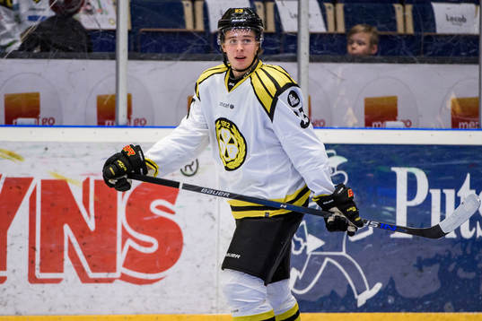 Brynäs Lucas Carlsson
