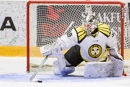 Brynäs målvakt David Rautio