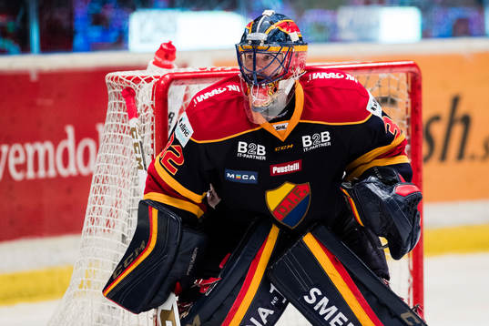 Djurgårdens målvakt Mikael Tellqvist