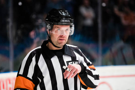 Domare Patrik Sjöberg