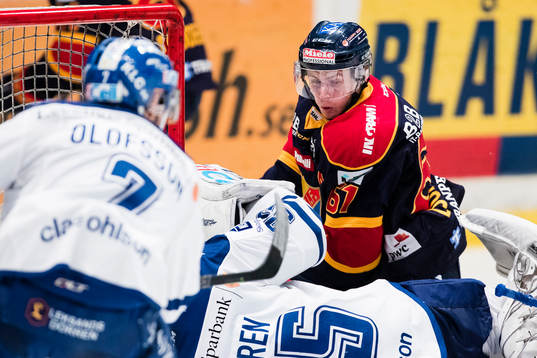 Djurgårdens Markus Ljungh