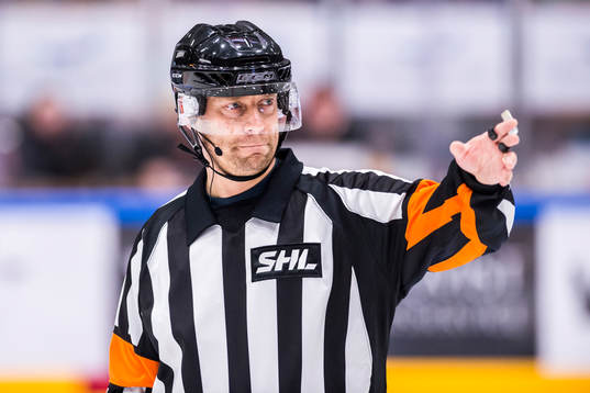 Domare Sören Persson
