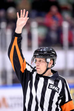 Domare Morgan Johansson