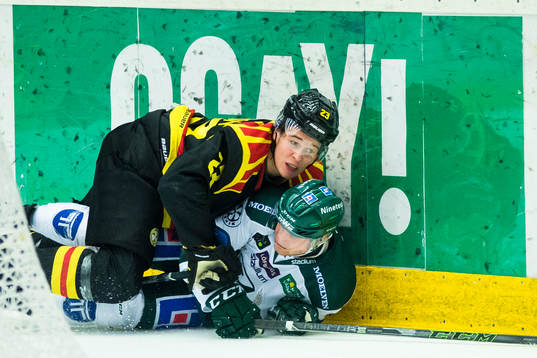Brynäs Lucas Carlsson