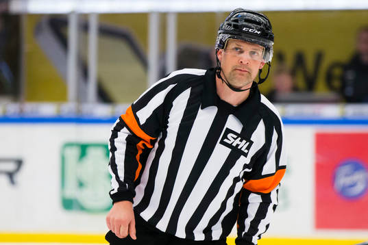 Domaren Mikael Nord