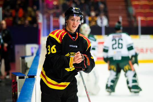 Brynäs Linus Ölund
