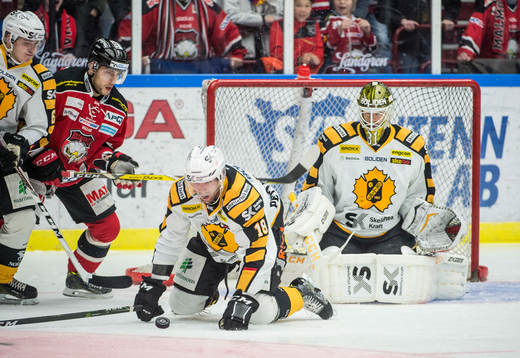 Malmö Redhawks Konstantin Komarek mot Skellefteås
