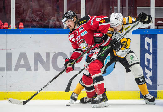 Bläddra bland fler bilder av Ishockey, SHL, Malmö Redhawks - Skellefteå