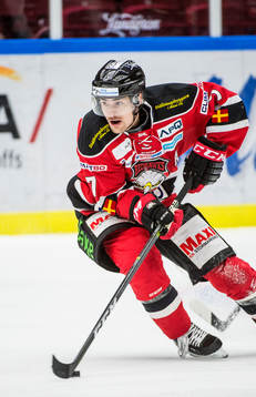 Malmö Redhawks Nils Andersson
