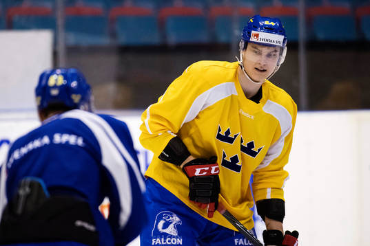 Sveriges Fredrik Händemark