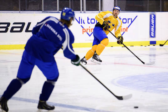 Sveriges Simon Bertilsson
