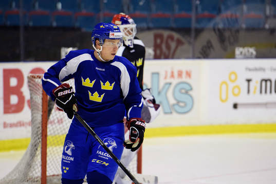 Sveriges Erik Gustafsson