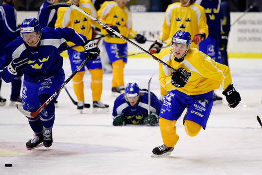 Sveriges Sebastian Aho