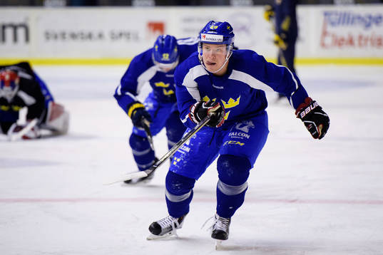 Sveriges Erik Gustafsson