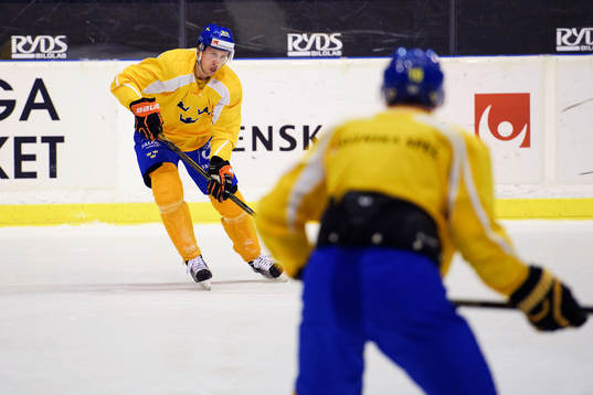 Sveriges Alexander Bergström