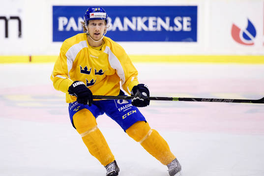 Sveriges John Norman