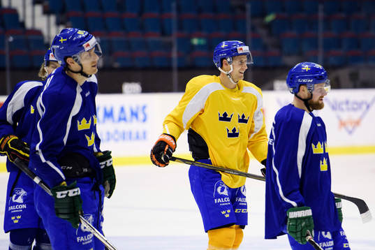 Sveriges Alexander Bergström