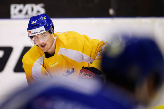 Sveriges Daniel Brodin