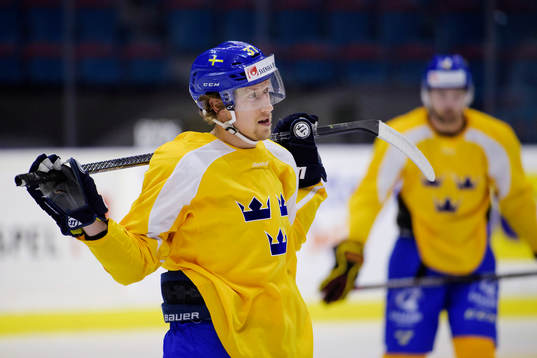 Sveriges John Norman