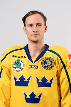 Sveriges Alexander Bergström