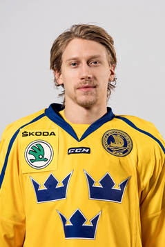 Sveriges John Norman