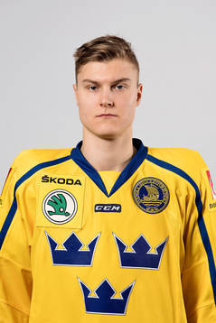 Sveriges Fredrik Händemark