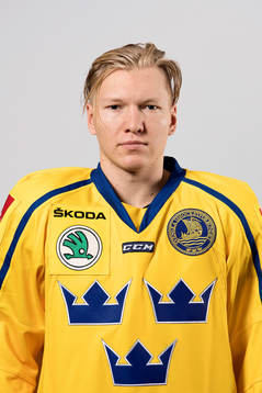 Sveriges Andreas Borgman