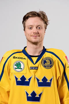 Sveriges Carl Klingberg