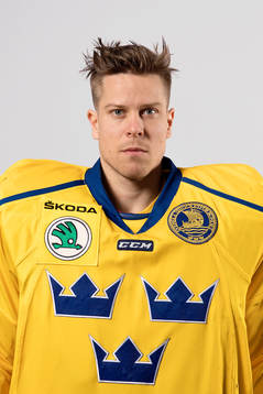 Sveriges målvakt Viktor Fasth